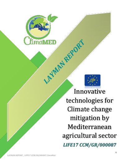 Layman's Report cover