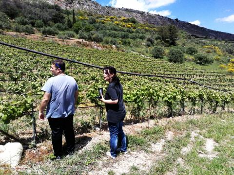 soil sampling at Kerasia, Heraklion, Crete (Maria Doula, Stamatis Kavasilis)