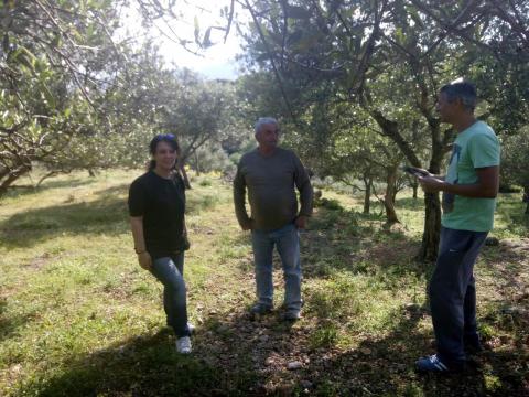Sampling by M. Doula, A. Papadopoulos and S. Kavasilis