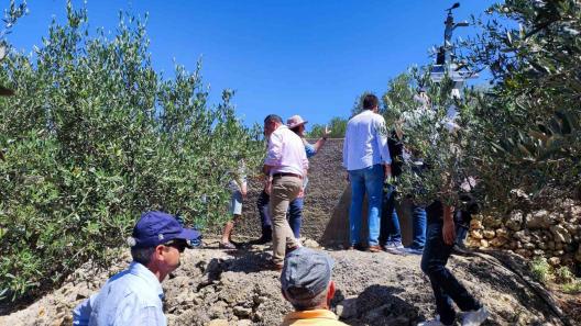 Spain, Cyprus, stakeholders at field visit