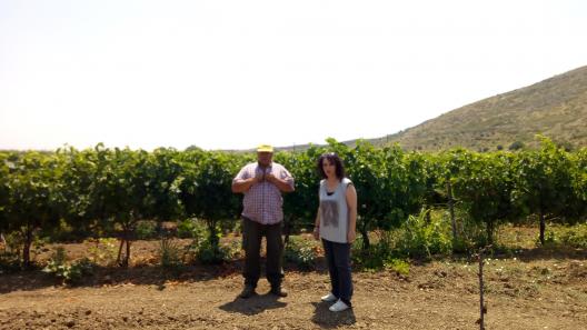 Vineyards, GHG, life clammed, climate change