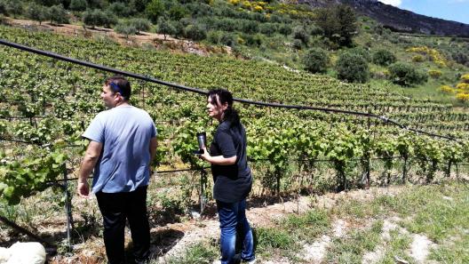 soil sampling at Kerasia, Heraklion, Crete (Maria Doula, Stamatis Kavasilis)