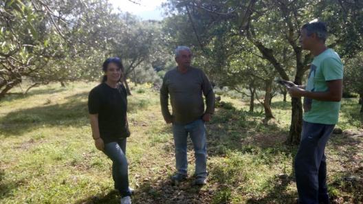 Sampling by M. Doula, A. Papadopoulos and S. Kavasilis